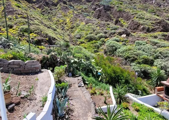 Anaga New Picasso 1 Paraiso Playa