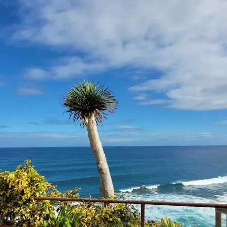 Apartment Picasso 1 Paraiso Playa Relax-Surf-Trail-Photo