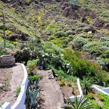 Anaga New Picasso 1 Paraiso Playa